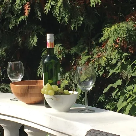 Töreki Mit Pool *